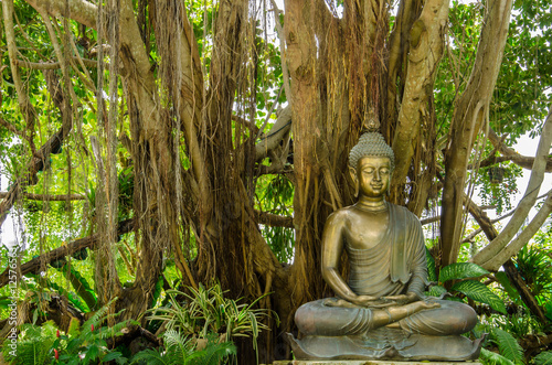 Bronze Buddha Statue Sitting under Banyan Tree. Feeling Calm Peace and Enligthen Wat Rong Khun