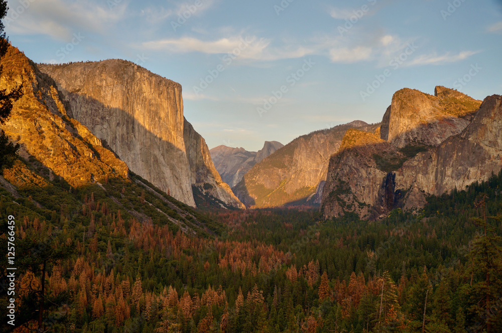 Yosemite Golden Fall Colors