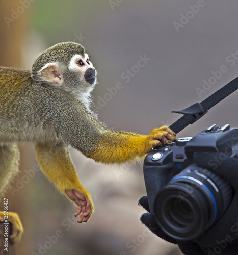 Can I have my camera back!
