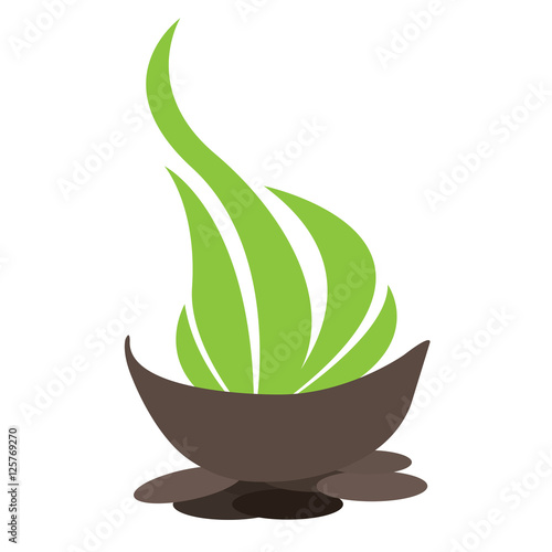 Spa icon