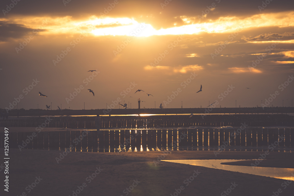 Sunset on beach with a wooden breakwater in Leba, Baltic Sea, Po