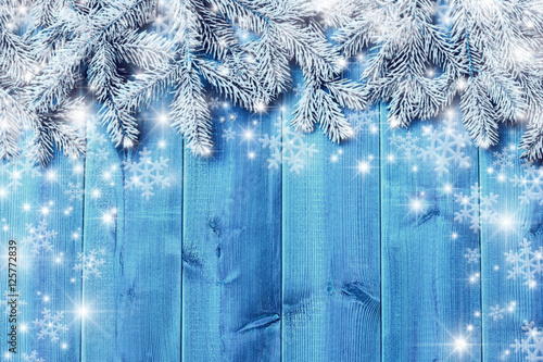 Blue wooden  boards and  christmas tree branches
