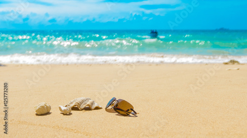Sunglasses shell coral reef on sandy beach, incoming boat reachi