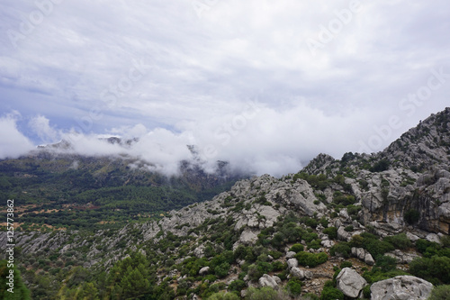 Mountain view