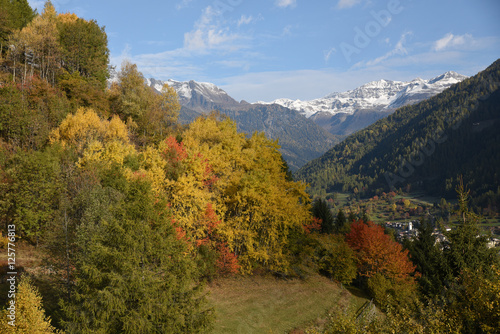 paesaggio autunnale montagne montagne colori autunno piante alberi 