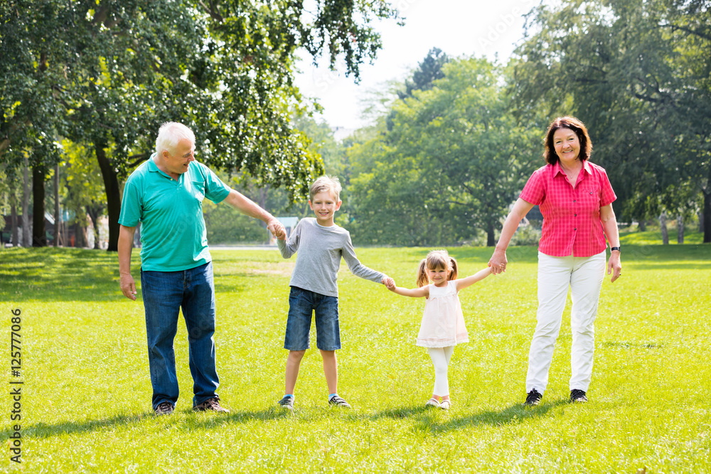 Fototapeta premium Grandparents And Grandchildren Together In Park