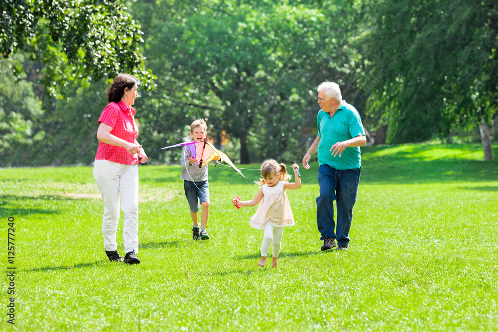 Grandchildren And Grandparents Flying Kite In Park