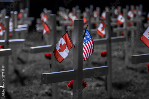 Remembrance / Veteran's Day Memorial