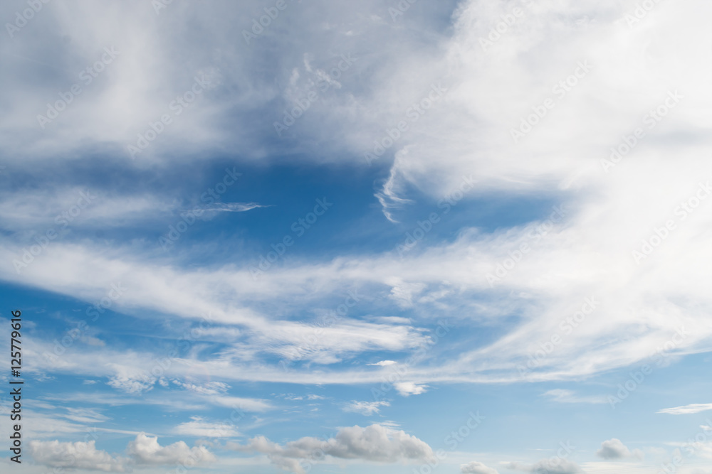 Fototapeta premium clouds white soft in the vast blue sky