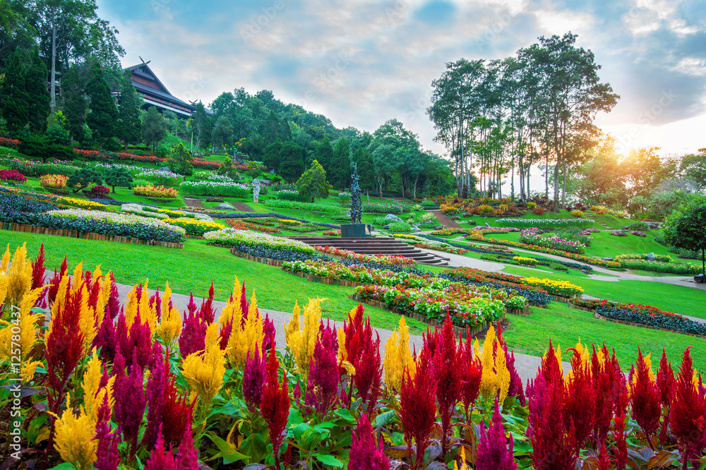 Fototapeta premium Garden flowers, Mae fah luang garden locate on Doi Tung in Chian
