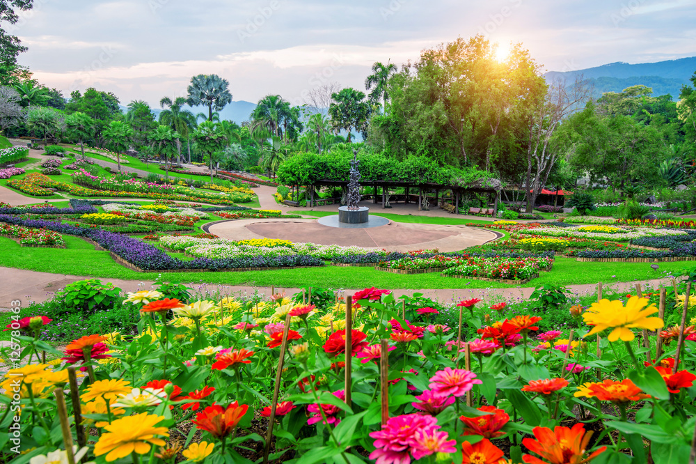 Fototapeta premium Garden flowers, Mae fah luang garden locate on Doi Tung in Chian