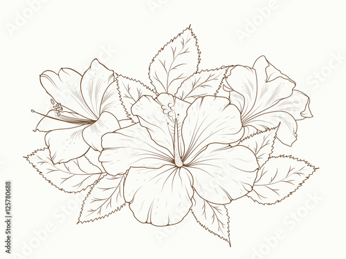 Lily and hibiscus flowers garland bouquet. Isolated detailed vector design sketch drawing. Bunch of spring summer flowers. Botanical floral illustration. Sepia brown outline on beige background.