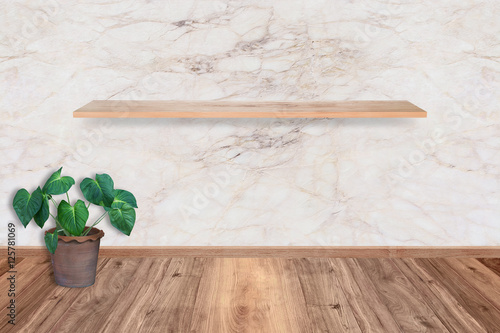 plant tree in a pot at room, empty interior with marble wall sto