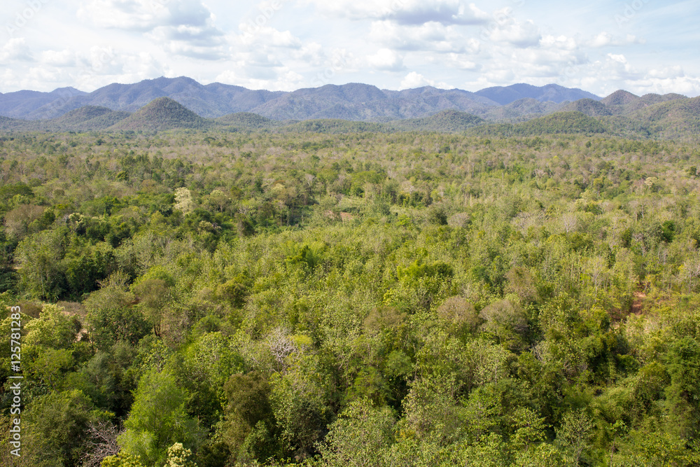Landscape of forest and mountain in Thailand. Landscape of forest and mountain in Thailand.