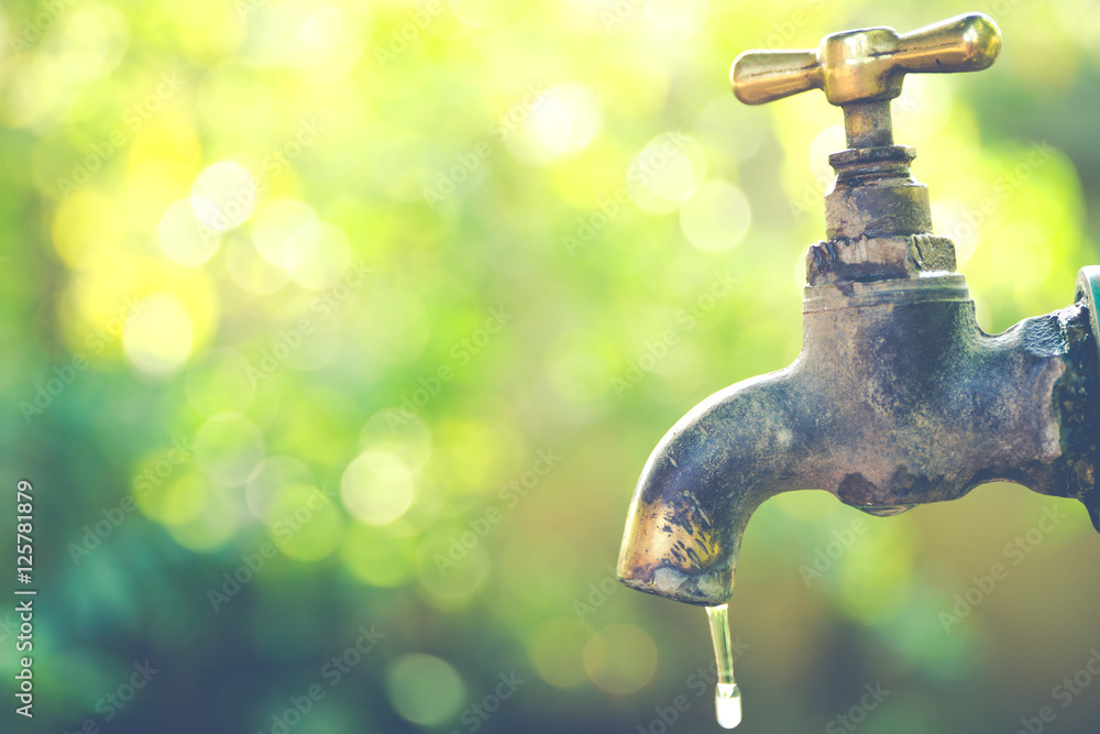 Brass water tap in nature background. (Processed in vintage colour tone) Brass water tap in nature background. (Processed in vintage colour tone)