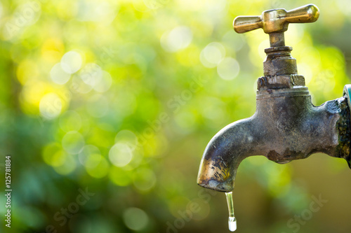 Photos Brass water tap in nature background.
