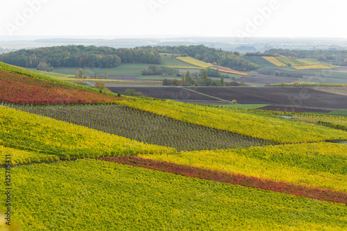 Herbstliche Weinberge