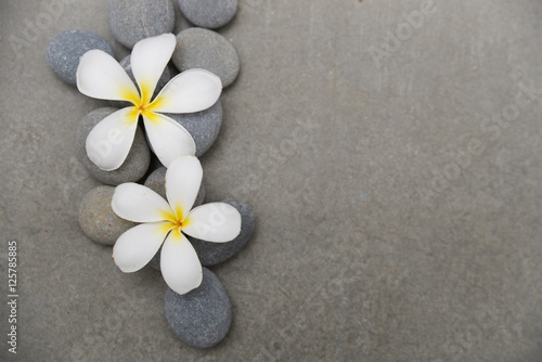 Two frangipani  with pile stones on grey background.    