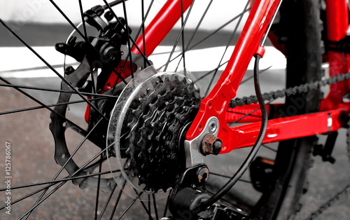 gears at rear wheel of bicycle photo