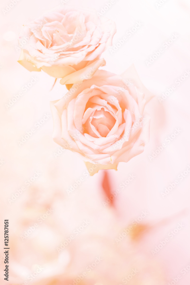 rose flower bouquet.jpg