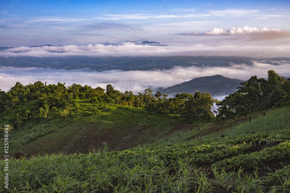 Mountain after raining with the fog.Doi Pha Mee, Chiang Rai, Tha