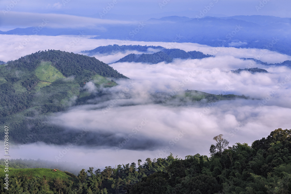 Mountain after raining with the fog.Doi Pha Mee, Chiang Rai, Tha