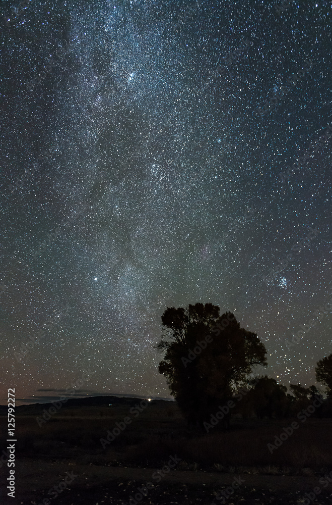 Milky way in the dark night