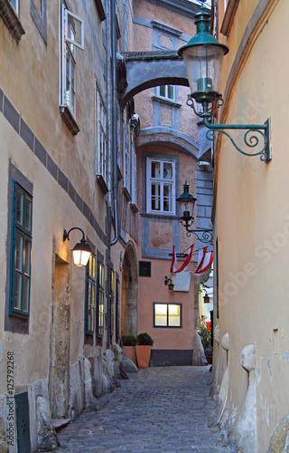 Photography the narrow street in city center of Vienna