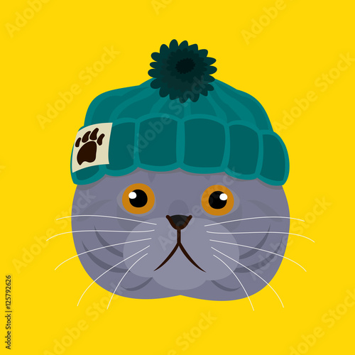 Cat with knitted beanie