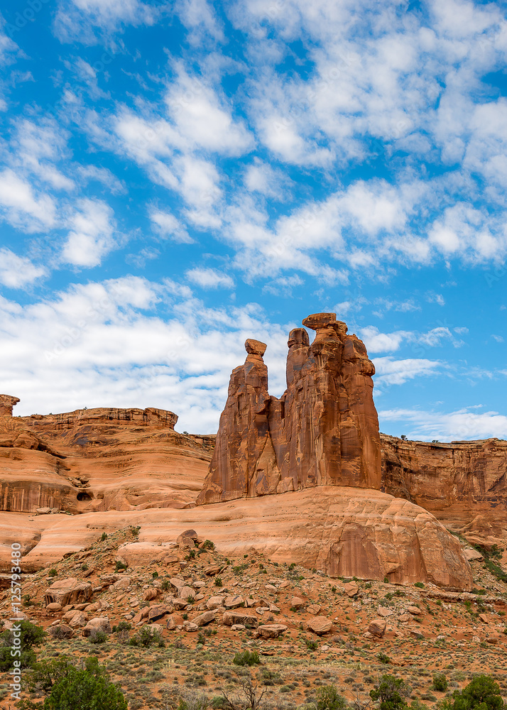 Fototapeta premium Rock Desert in Utah