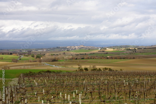 Vignoble du Malepère, Razès