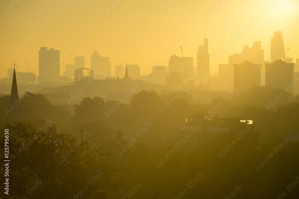 Fototapeta premium Golden sunrise skyline view of London, England featuring modern skyscrapers peeking up above misty parkland trees