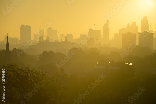 Golden sunrise skyline view of London, England featuring modern skyscrapers peeking up above misty parkland trees