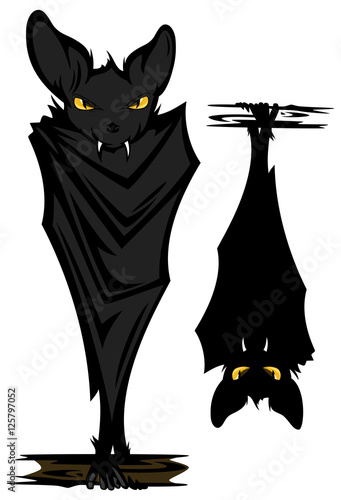 halloween bat  vector design set