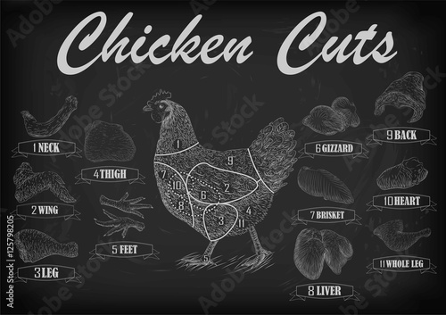 Chicken hen cutting meat scheme parts carcass brisket neck wing fillet back  leg liver. Vector horizontal closeup side view illustration sign info graphics white outline black chalkboard background