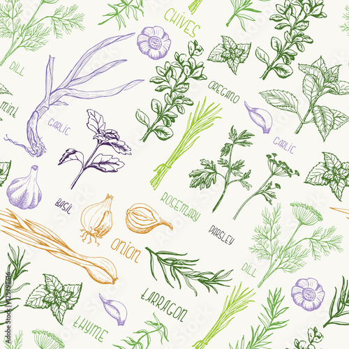 Seamless pattern with spices and herbs