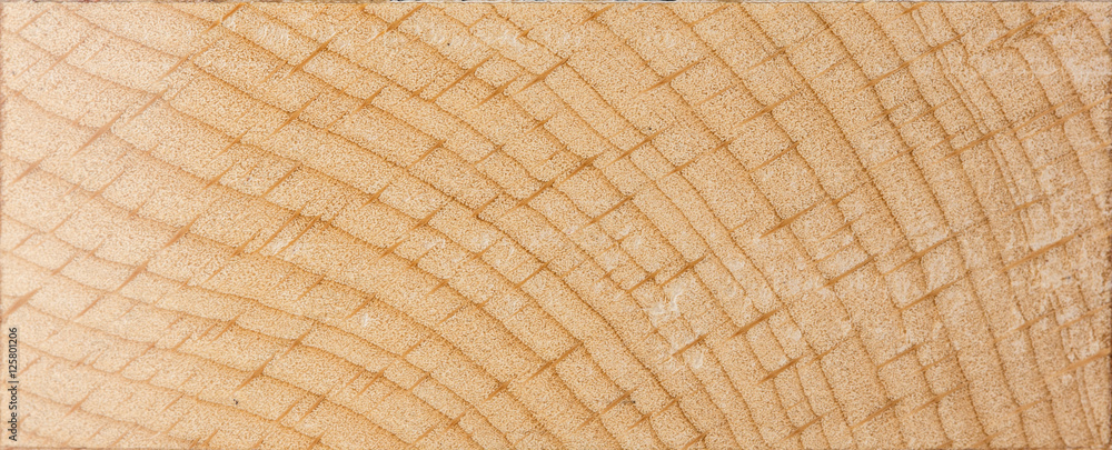 Fototapeta premium Texture of wood background closeup
