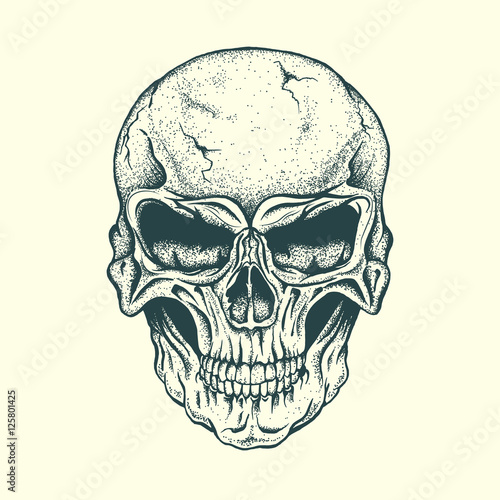 Skull of human