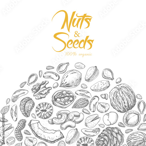 Vector background with nuts and seeds