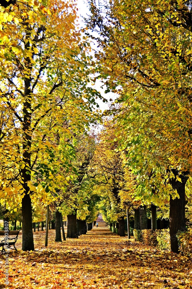 Schönbrunn Park im Herbst