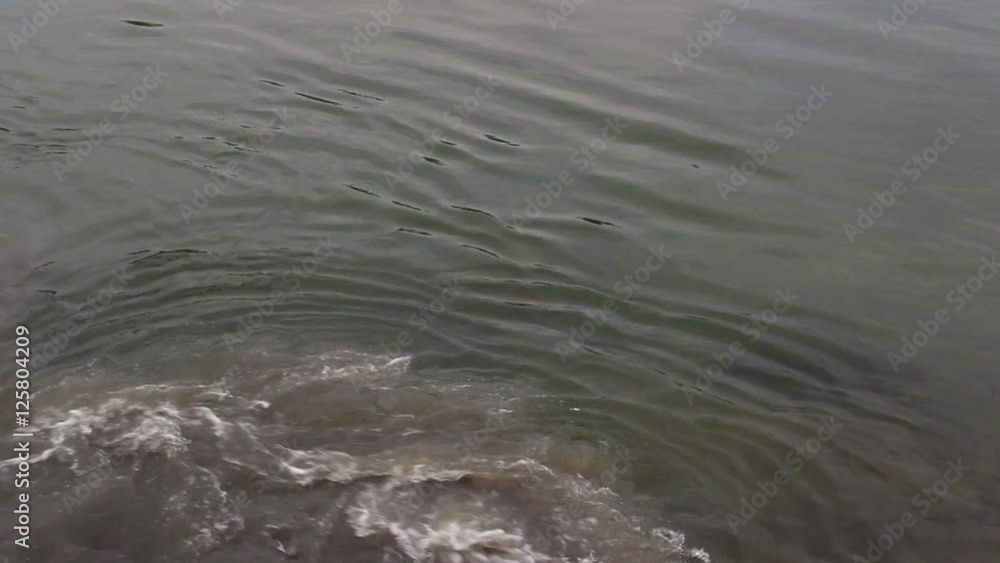 Waste water pumped into river; seagulls flying around sewage; 