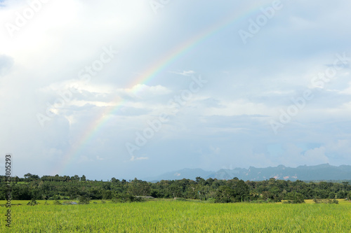 Rainbow RiceField ,Chiangmai Thailand