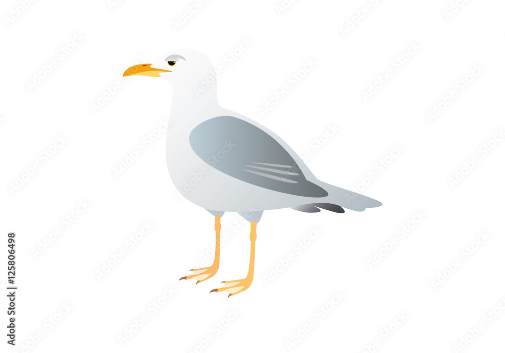Obraz premium Gull on a white background. Vector illustration seagull