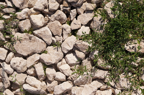 stones and grass