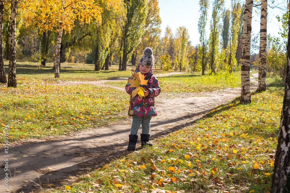 little girl with colorful autumn leaves little girl with colorful autumn leaves