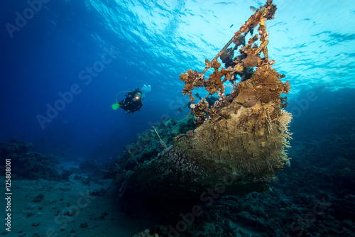 Diver explores wreck of yacht in the Red Sea, Egypt © timsimages.uk