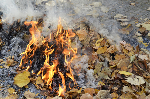 smoke from burning leaves and orange flames of fire,they were gathered by cleaning