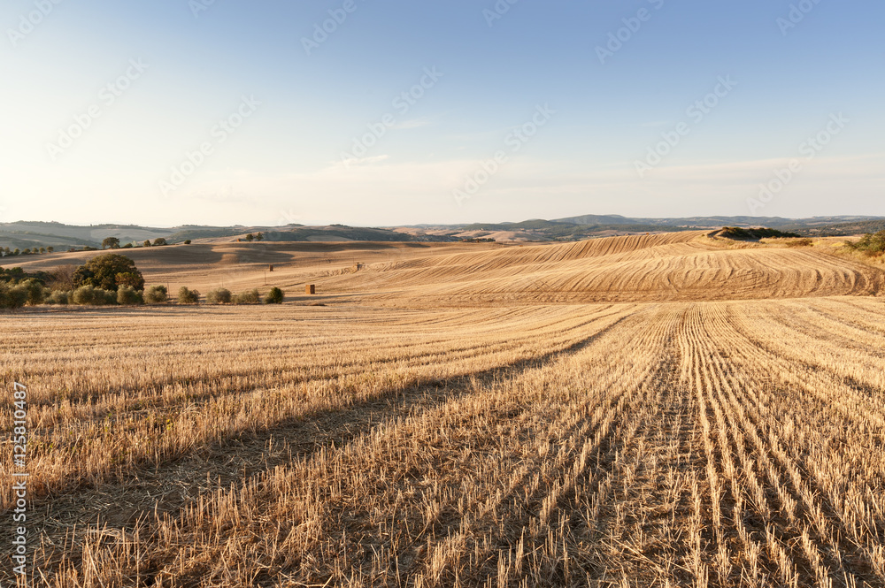 Obraz premium campagna toscana