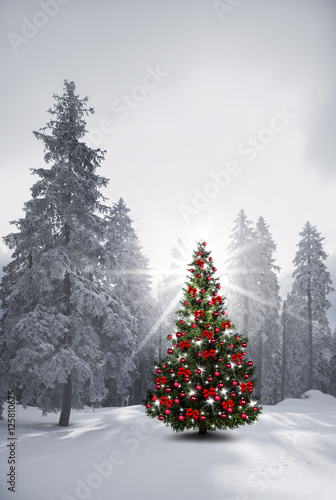 Christbaum in Verschneitem Wald