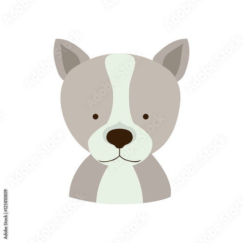 dog face animal cartoon icon over white background. colorful design. vector illustration